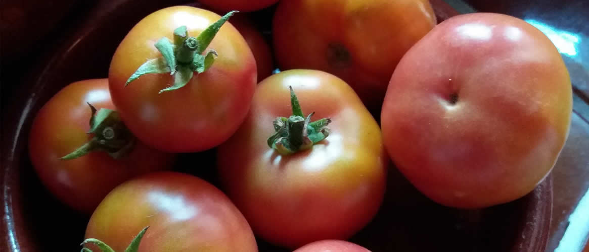 Ramallet tomatoes