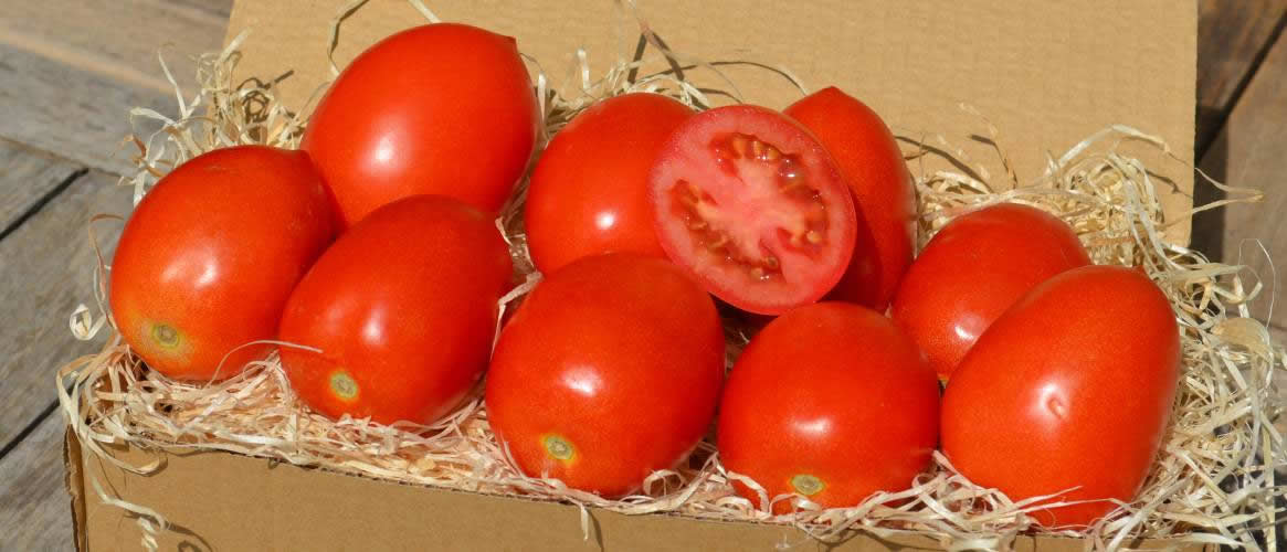 Tomates poire