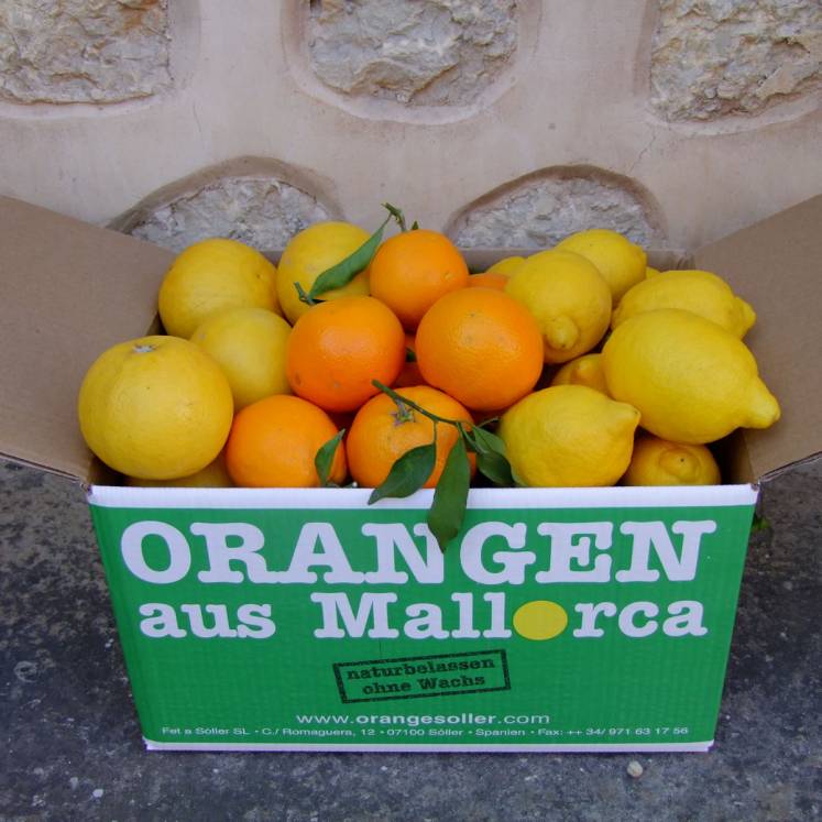 Mixed box of 10kg oranges, grapefruits and lemons