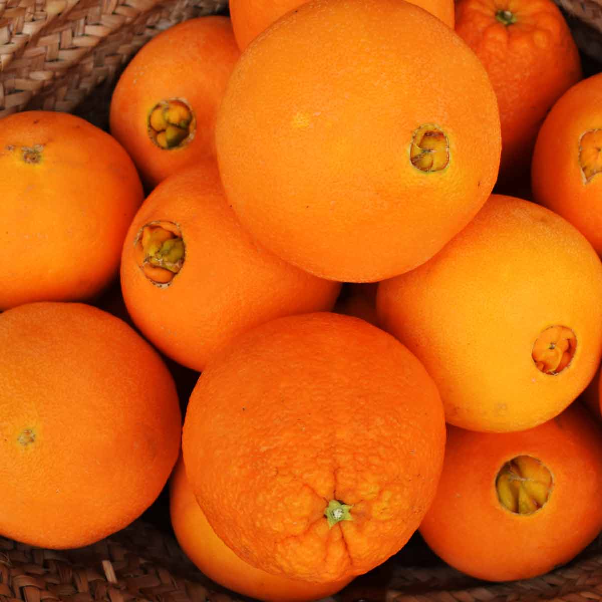 Naturbelassene Orangen aus Spanien online bestellen