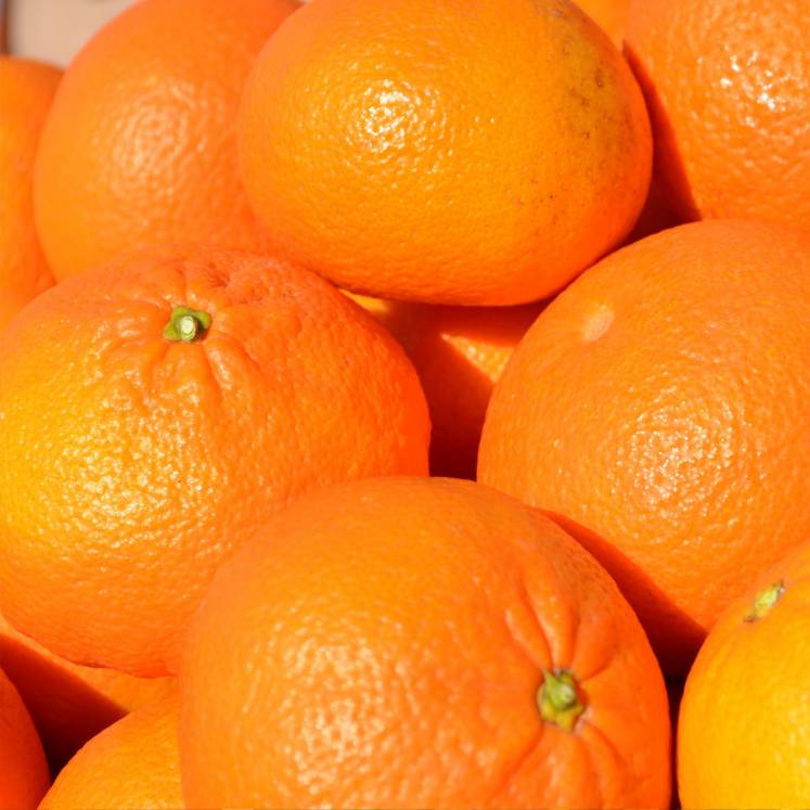 Ortanique Oranges 10kg box