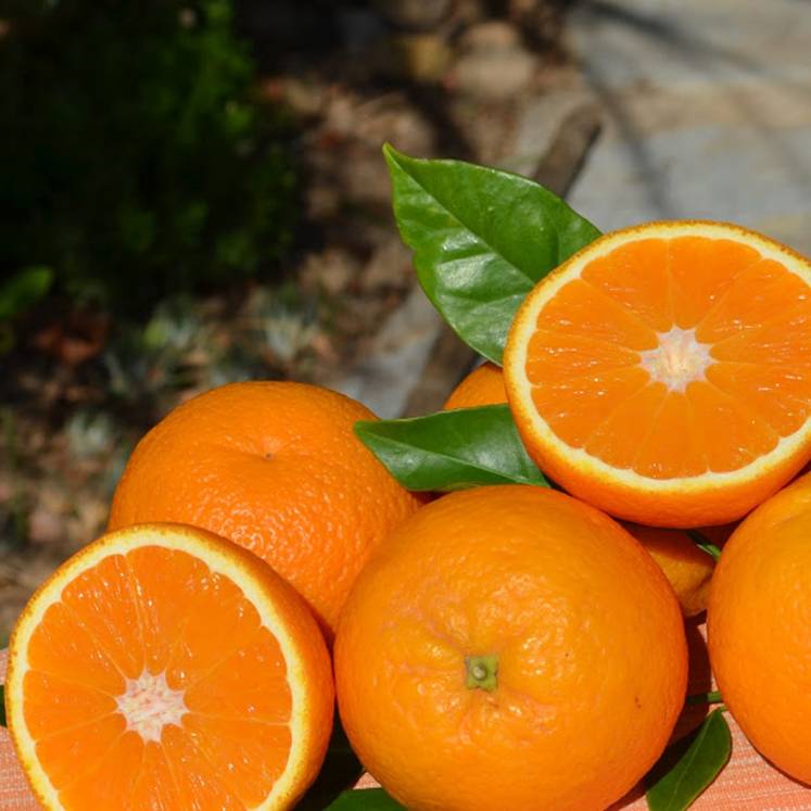1kg Orangen aus Mallorca/ Spanien online bestellen liefern lassen