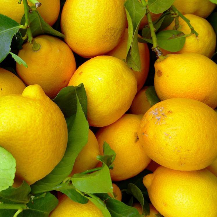 Order 1kg lemons online and get them delivered