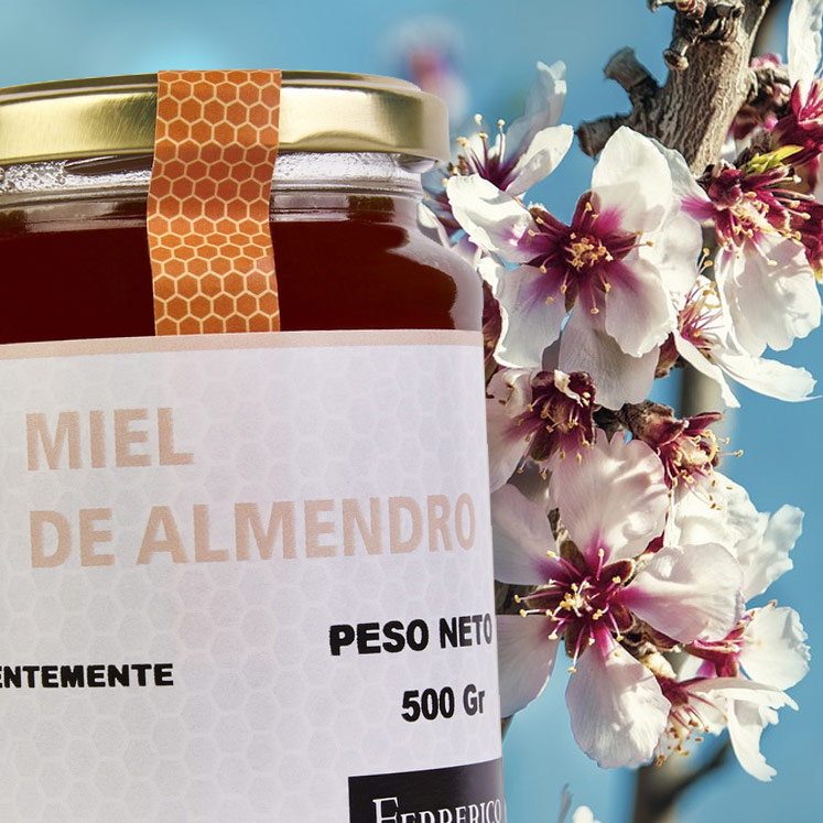 Ferrerico Almond flower honey