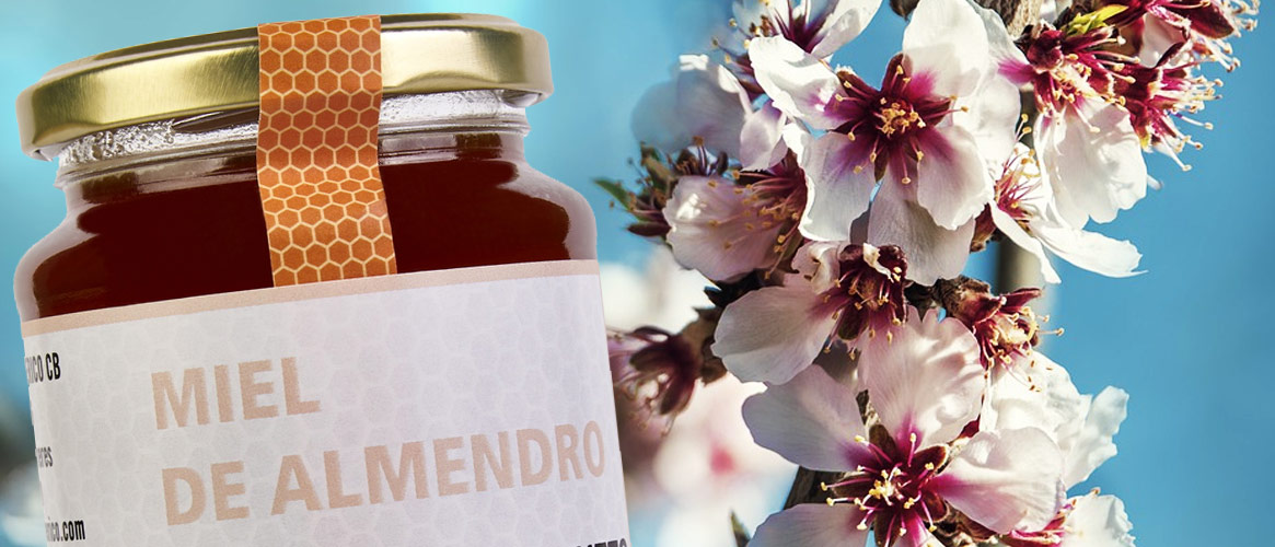 Ferrerico Almond flower honey