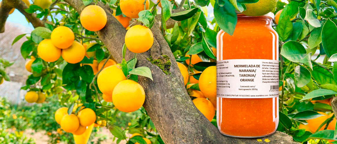 Orangenmarmelade Fet a Sóller 1100g