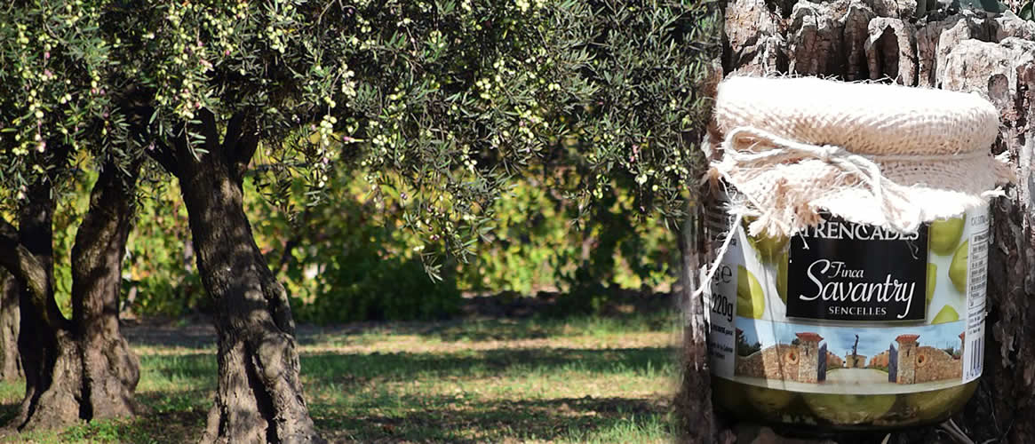 Savantry Oliven trencadas in würziger Salzlauge 220g