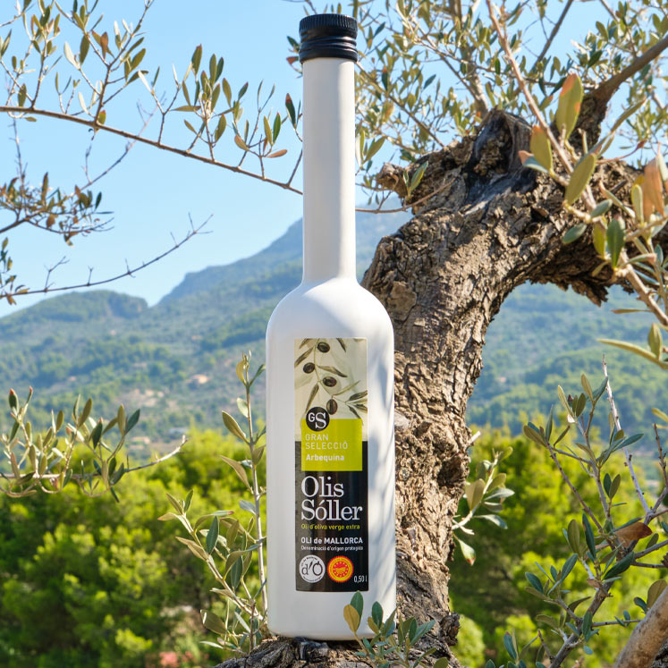Olis Sóller Gran Selecció Arbequina Hulie d'olive vierge extra D.O.