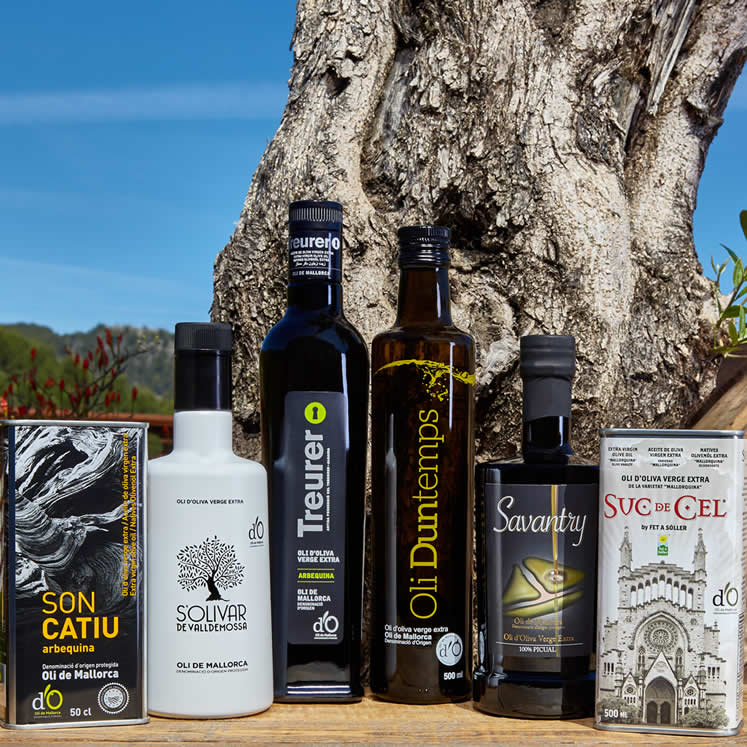 Olive oil tasting packs