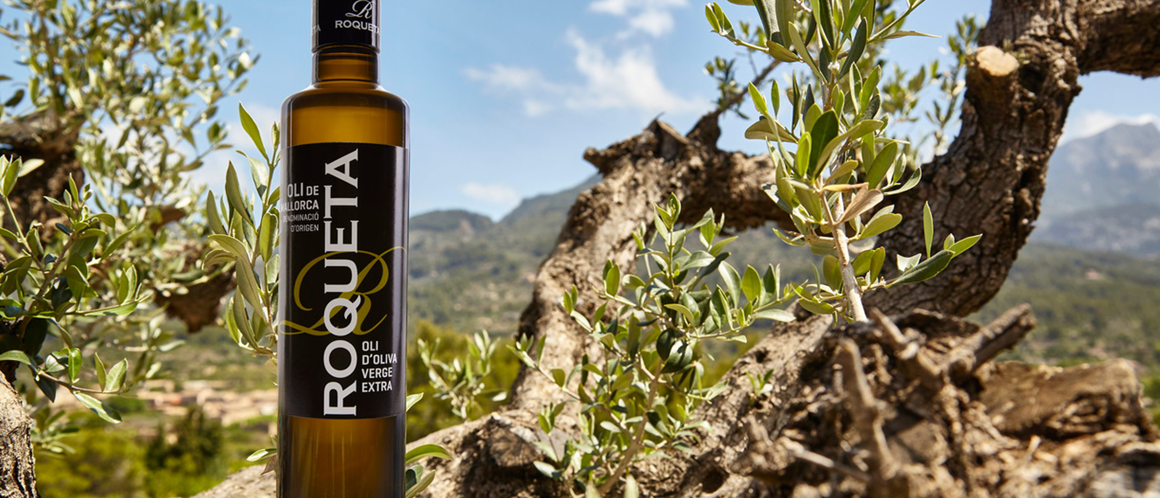 Roqueta extra virgin olive oil D.O.