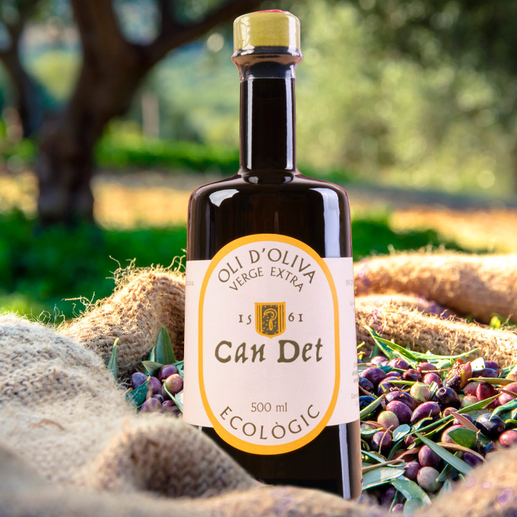 Bio Olivenöl Virgen Extra Can Det