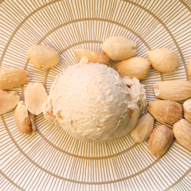 Almond Ice Cream Gelat Sóller 2,5l