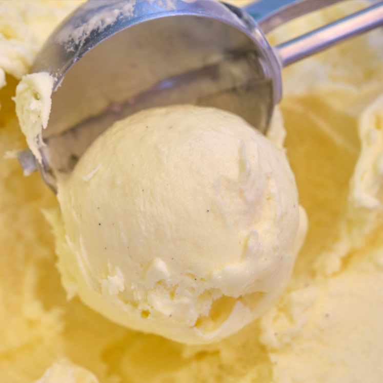 Eiscreme Vanille Geschmack Gelat Sóller 2,5l
