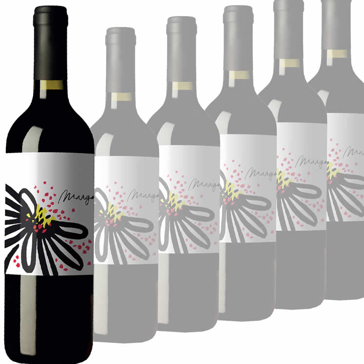 6 x Galmés i Ribot Margalida vin rouge bio Vi de la terra Mallorca