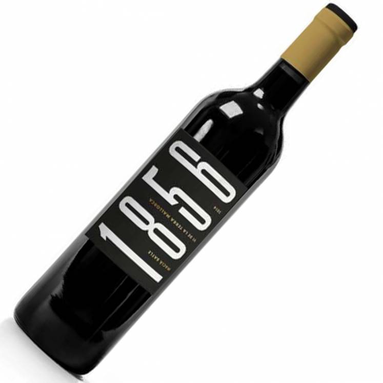 6 x Macia Batle 1856 Crianza vin rouge  Vi de la Terra