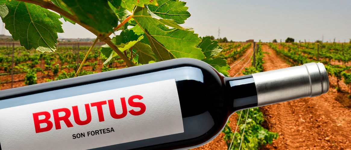 Ribas Brutus organic red wine Vi de la Terra Mallorca