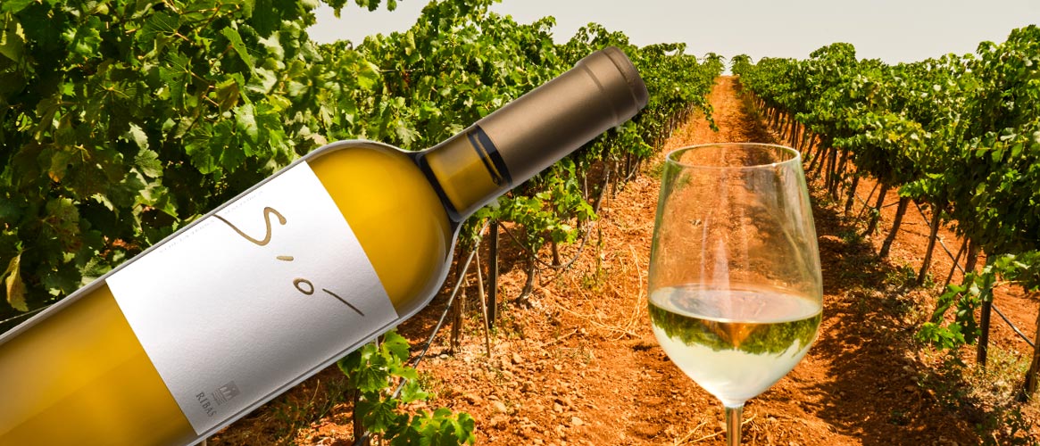 Ribas Sió organic white wine Vi de la Terra Mallorca