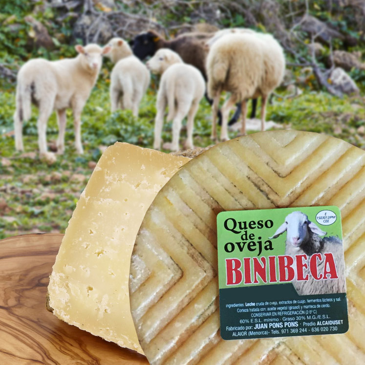 Binibeca Sheep cheese semi ripe