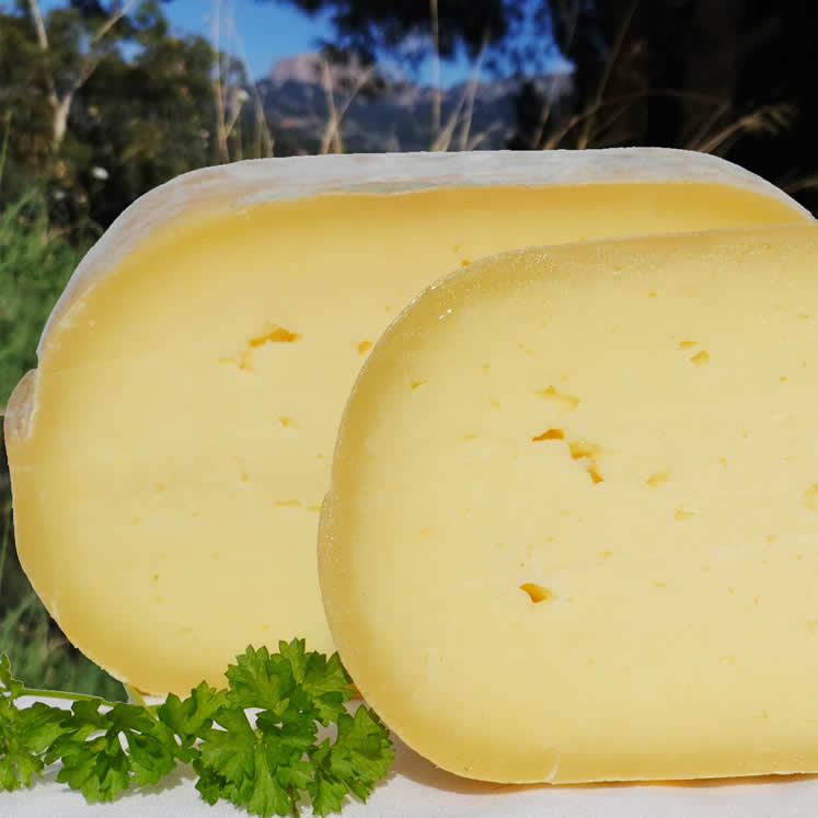 Burguera Cow's milk cheese semi-mature