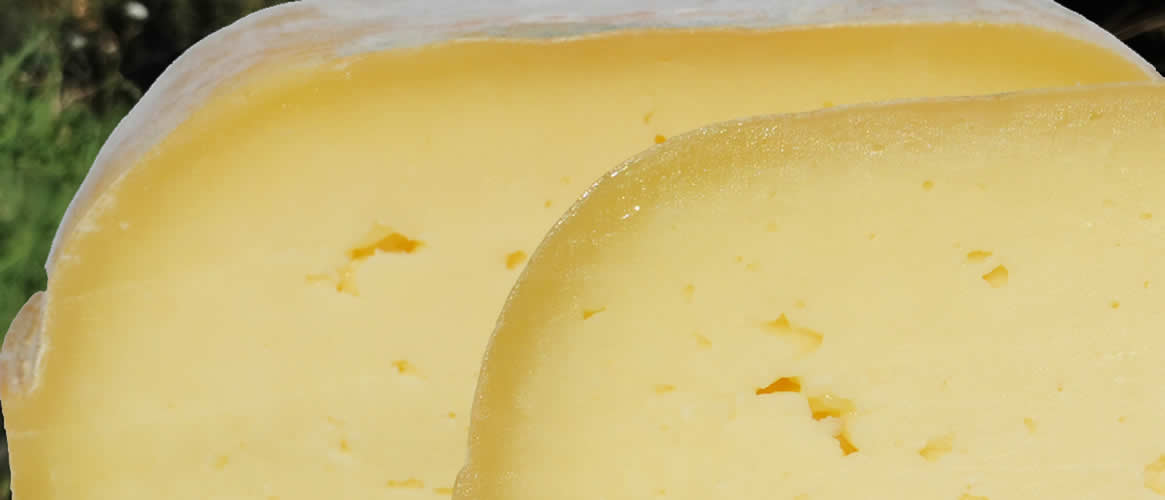 Burguera Cow\\'s milk cheese semi-mature