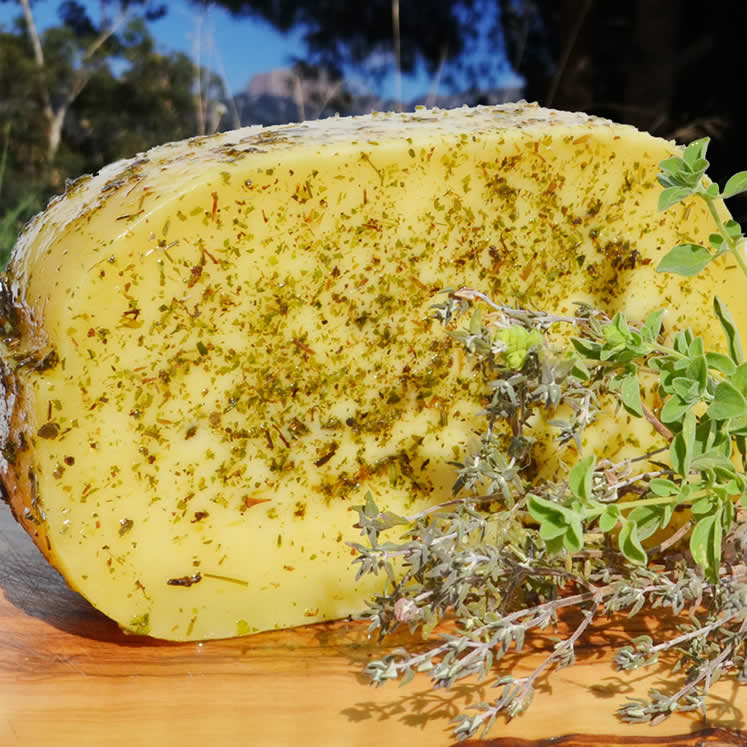 Burguera queso semi curado con hierbas