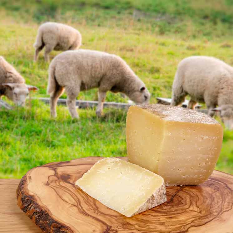 Son Cánaves Organic ripe sheep's cheese