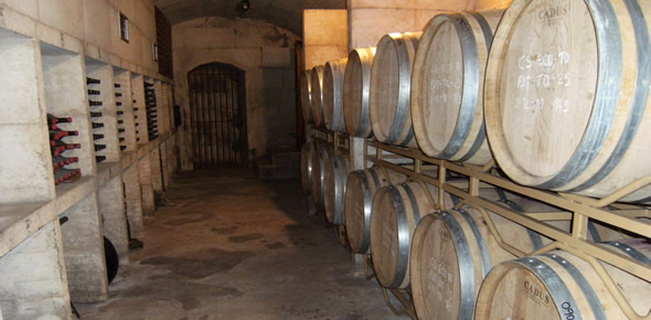 Dégustation vins de Majorque